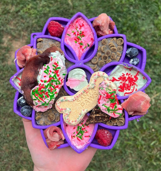 Sodapup Mandala Etray & Slow feeder bowl