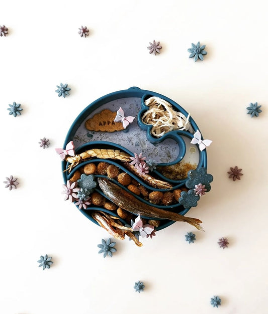 Sodapup Wave Ebowl - Slow feeder bowl