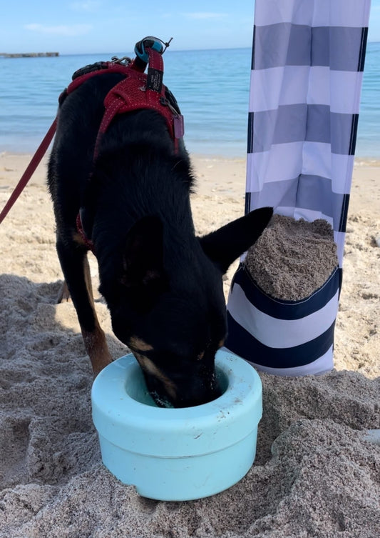 K9 Cruiser Bowl - No spill dog water bowl