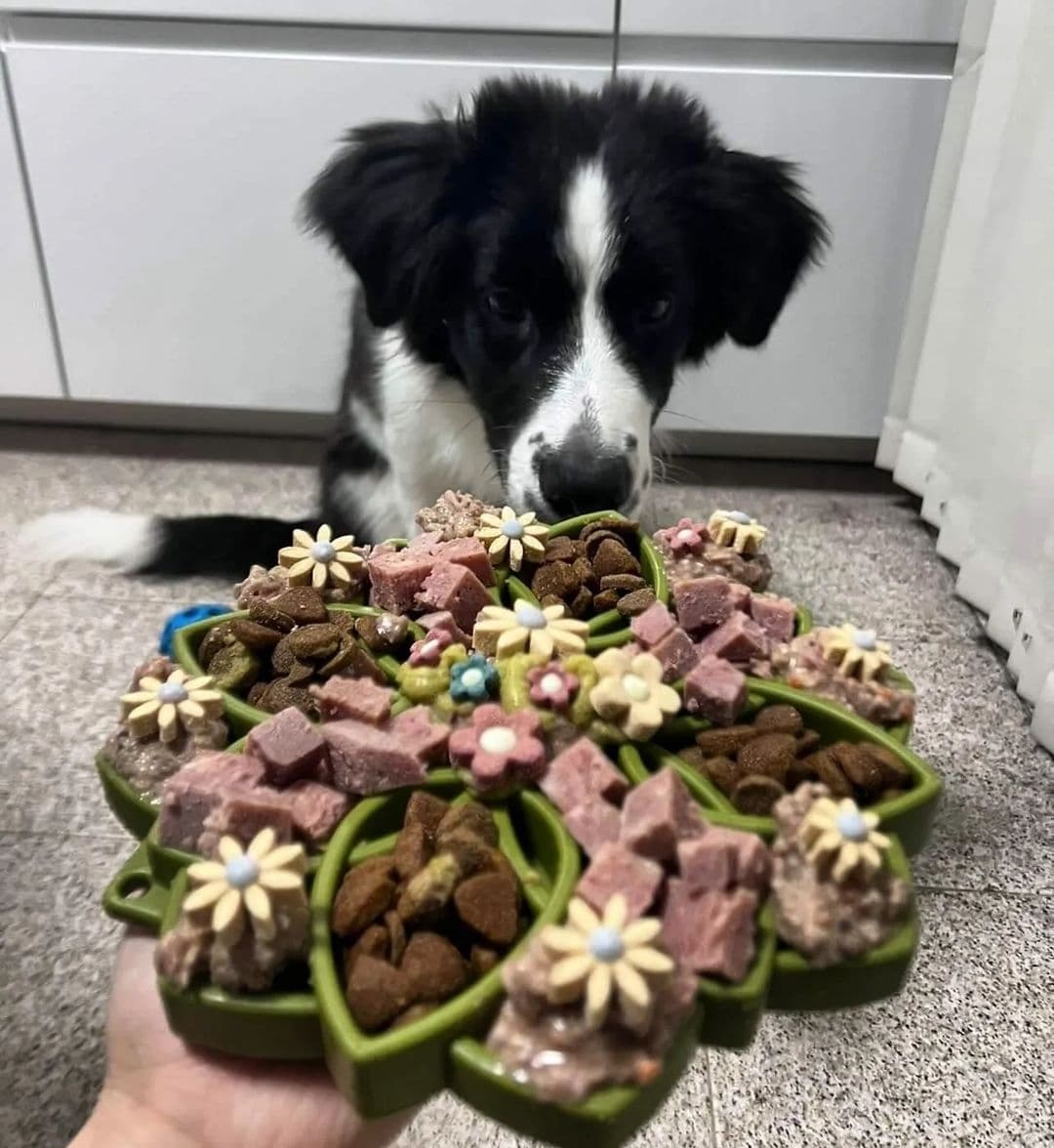 Sodapup Mandala Emat Slow Feeder Dog Bowl