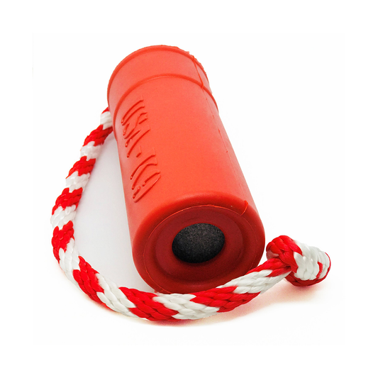 Sodapup Firecracker Water fetch dog