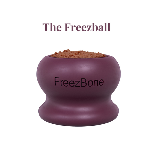 Freezbone - Freezball slow feeder bowl