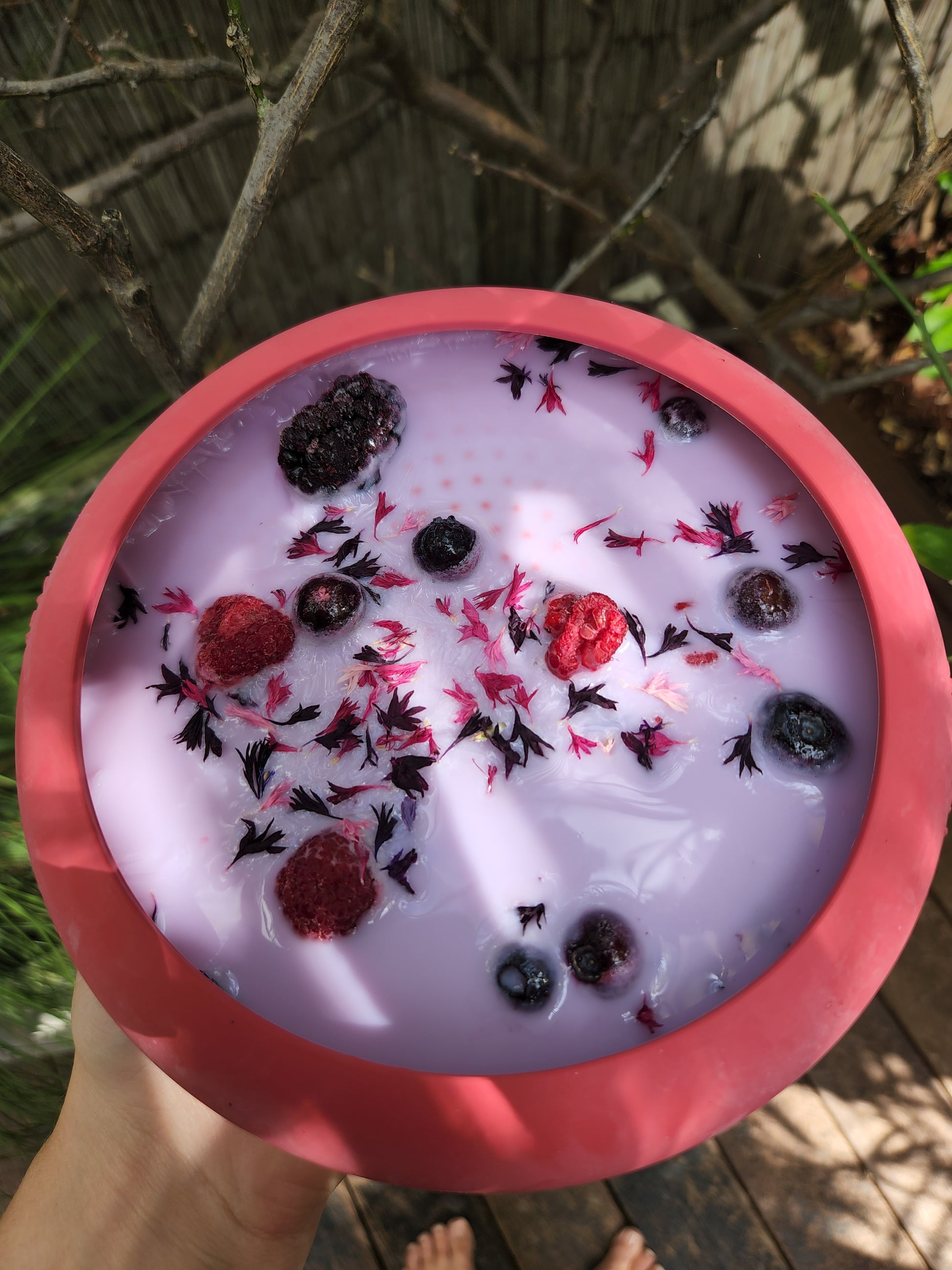 Dragon fruit and goats milk dog drink and doggolatte 