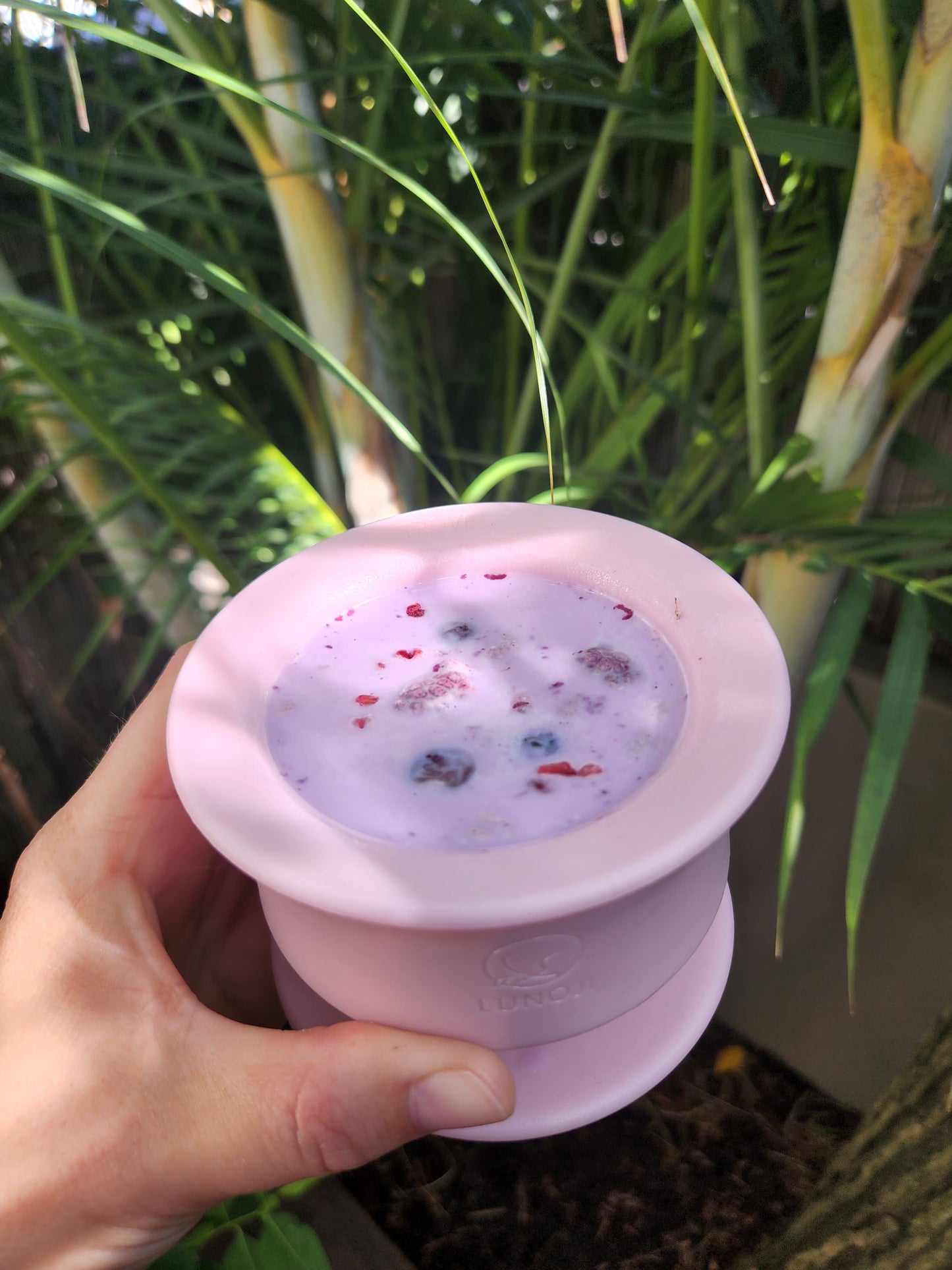 Dragon fruit & goats milk drink for dogs