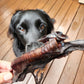 Kangaroo trachea dog treats 