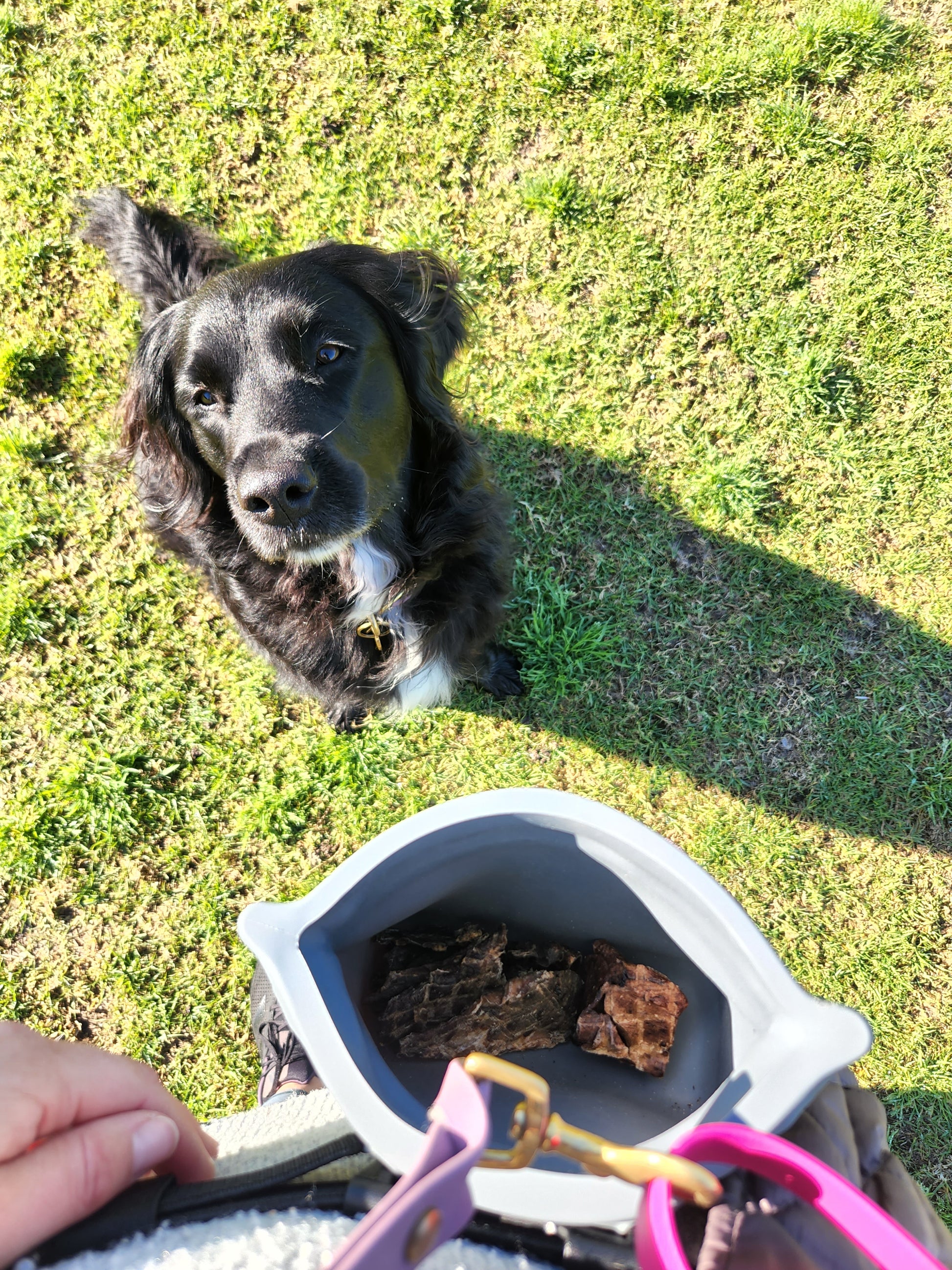 Voila pets silicone treat pouch