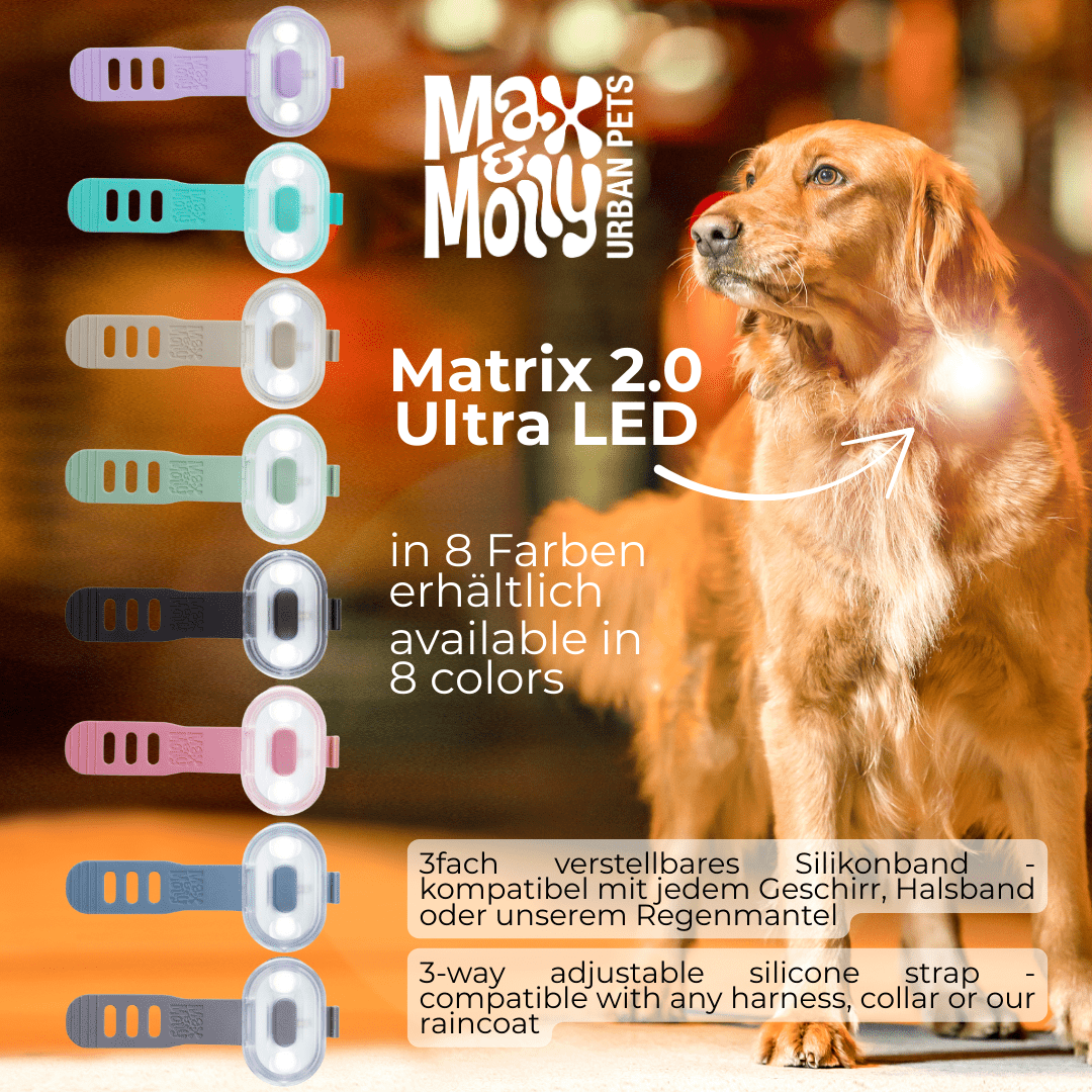 Max and Molly LED light for dogs 2.0