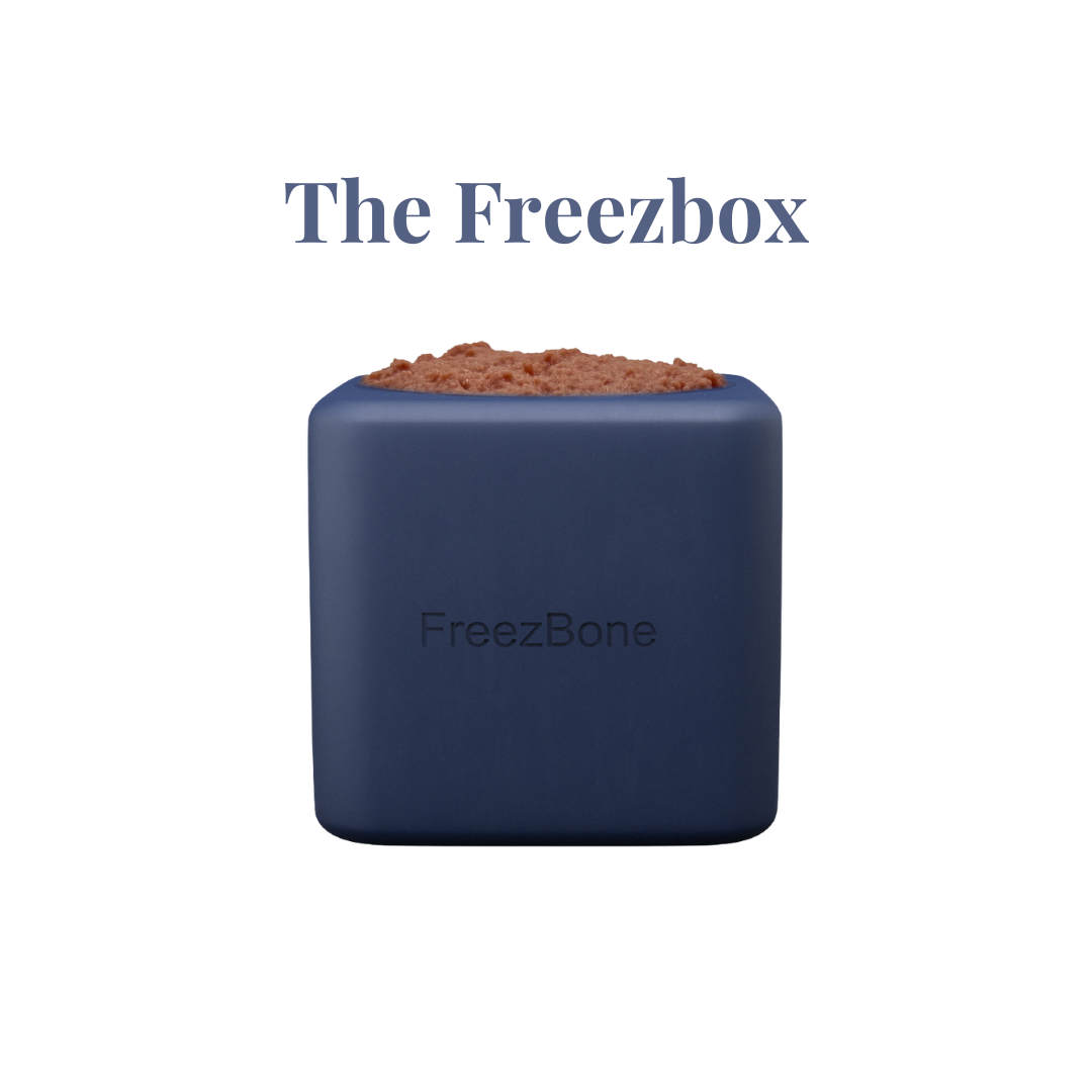 Freezbone Freezbocx slow feeder bowl