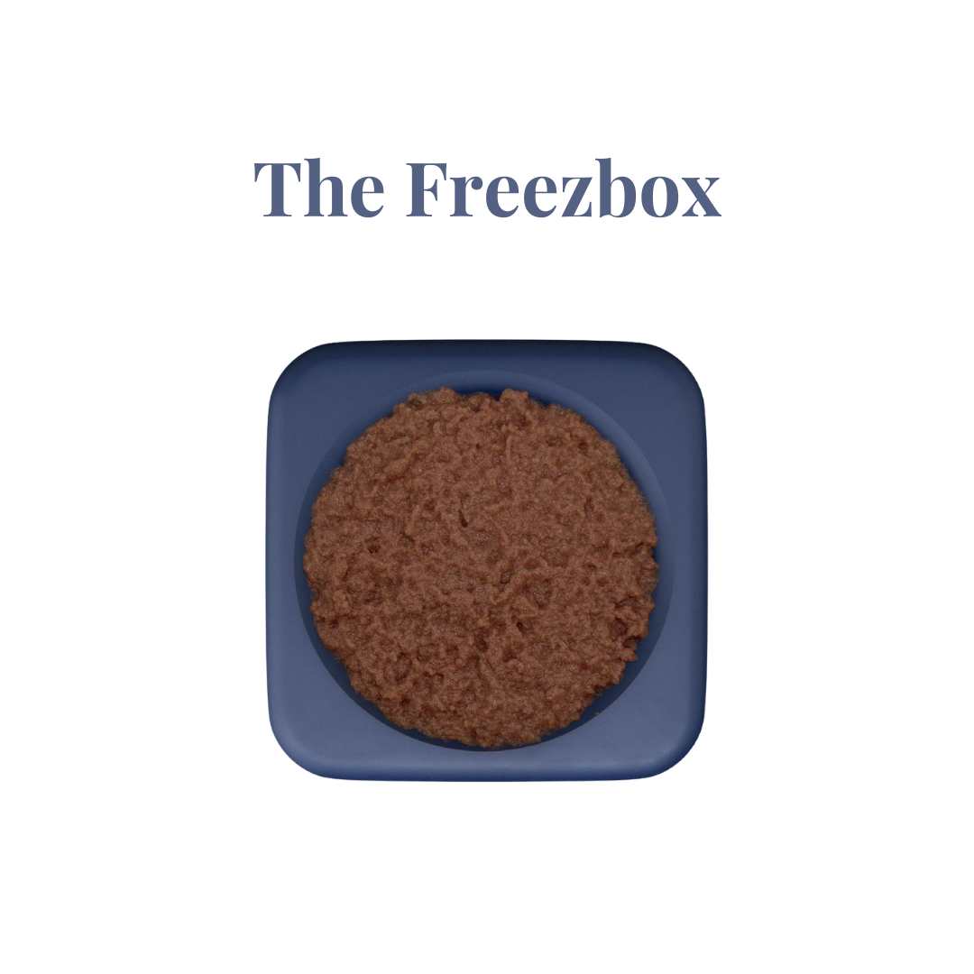 Freezbone Freezbocx slow feeder bowl