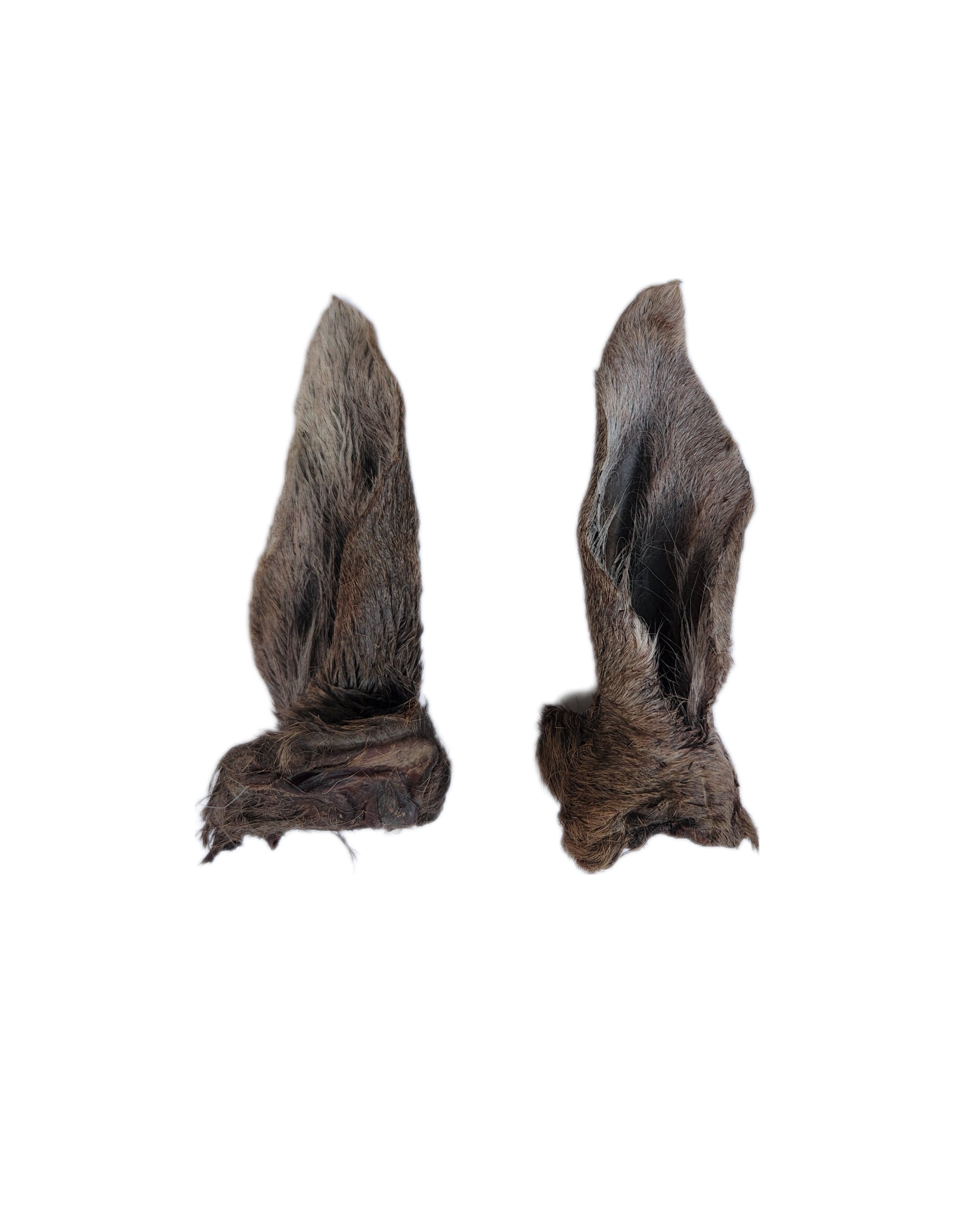 Furry venison ears dog treats