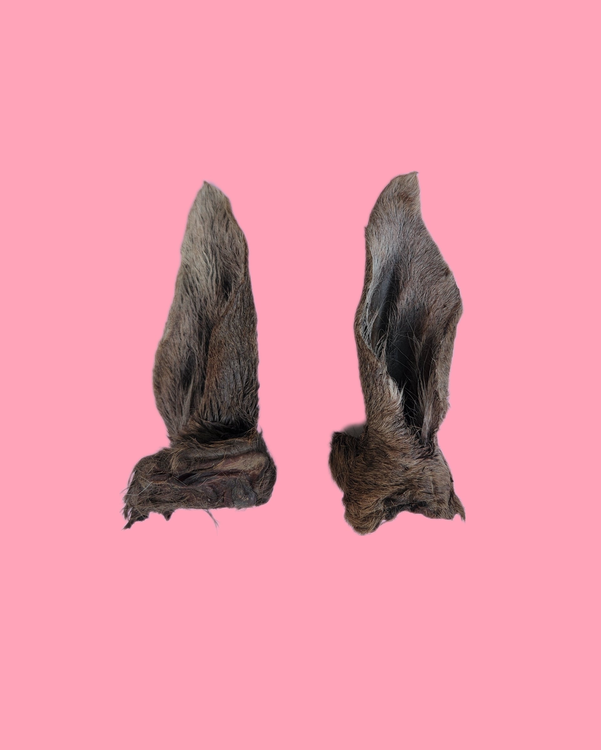 Furry venison ears dog treats