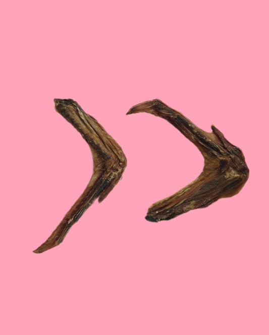 Dehydrated duck wings dog treats 