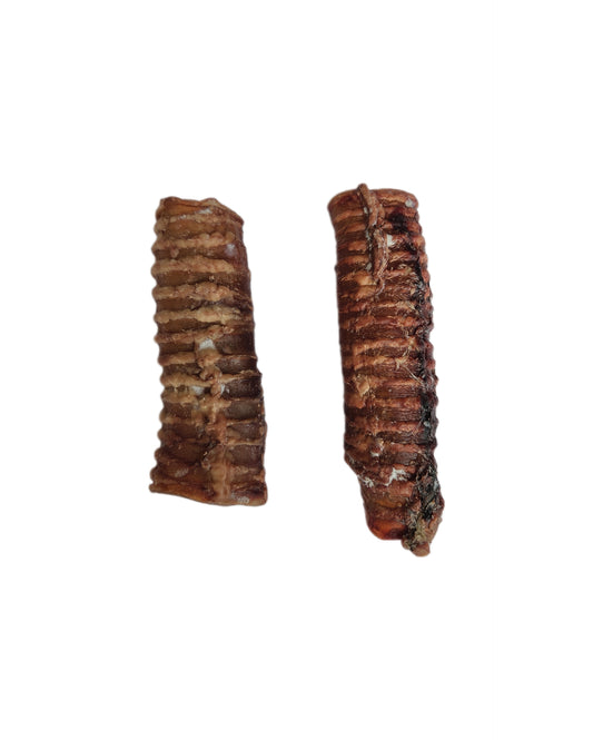 Beef trachea - Moo tubes - BULK 1KG
