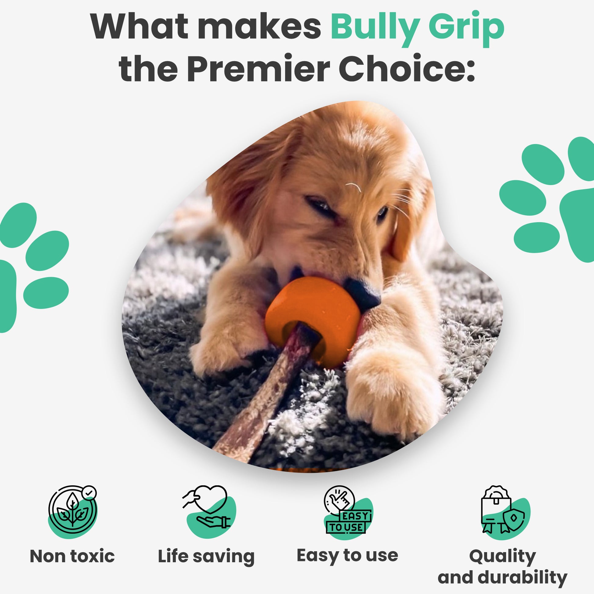 Bully Grip - Bully stickk and chew treat holder