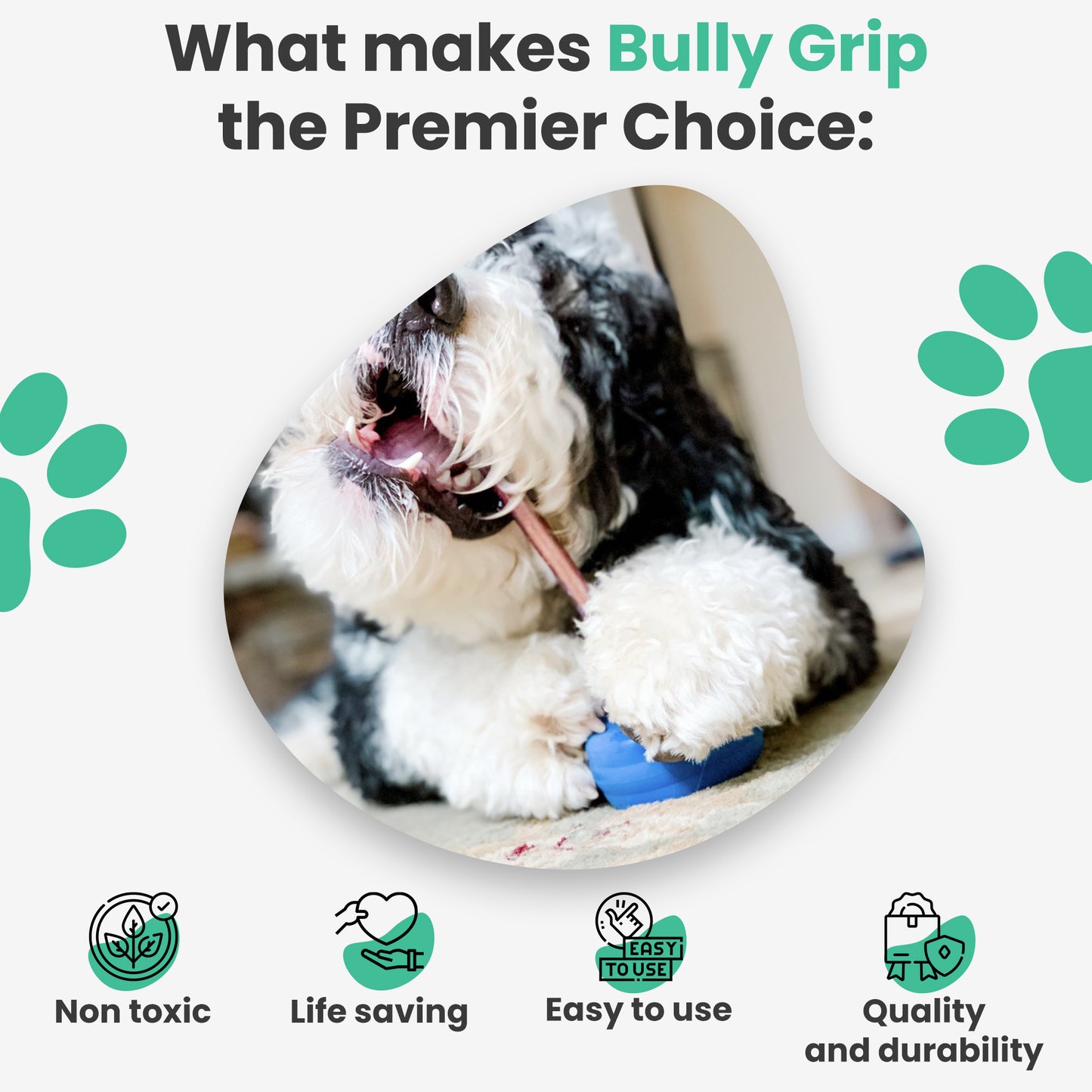 Bully grip - Bully stick & dental chew holder