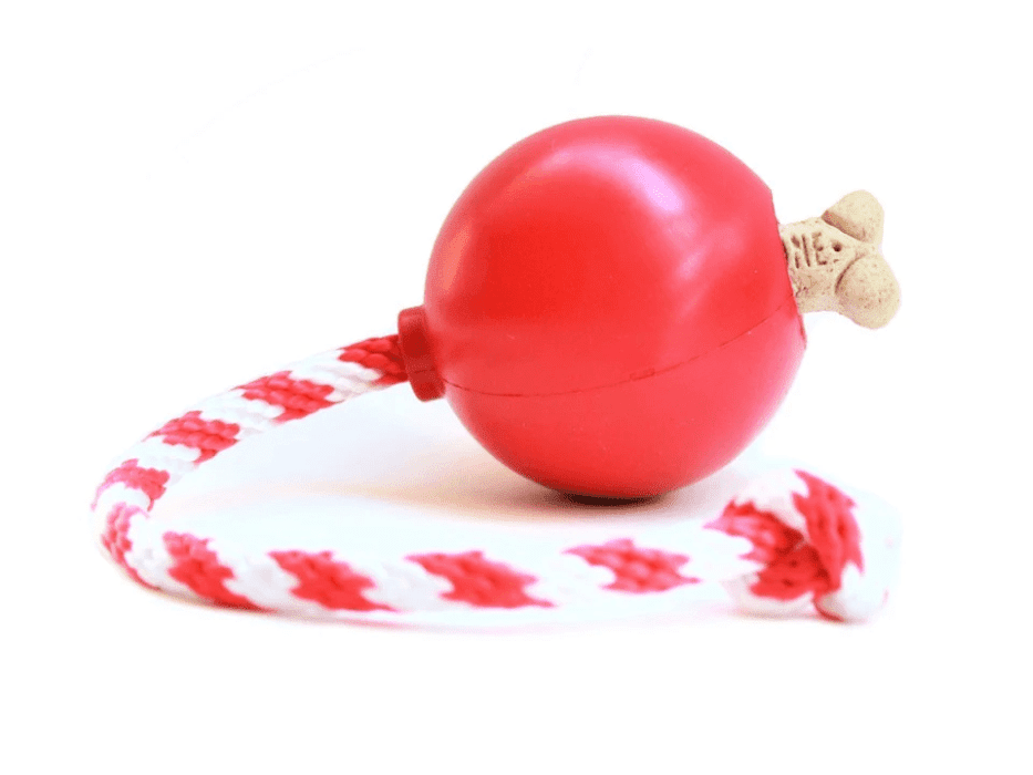 Sodapup cherry bomb fetch toy