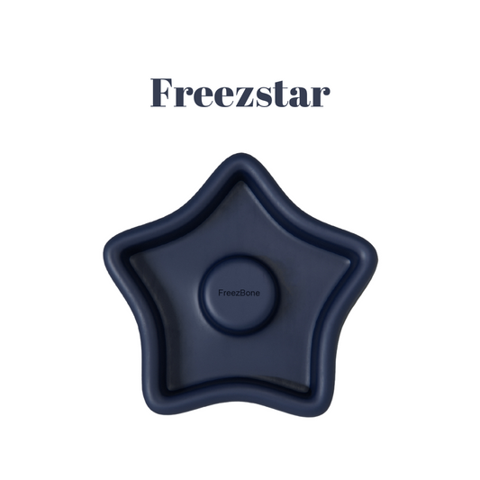 Freezbone Freezstar enrichment feeder & toy for dogs