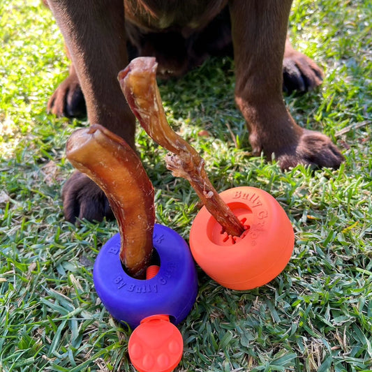 Bully grip & Bully Lok chew holder Australia