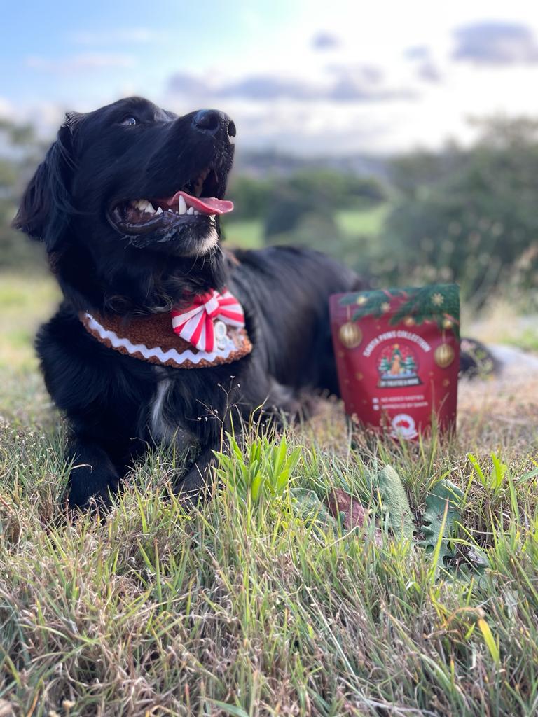 Christmas dog treats