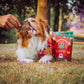 Christmas dog treats venison jerky