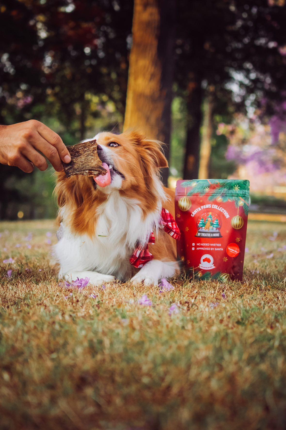 Christmas dog treats venison jerky