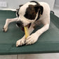 Bone marrow dental chew for dogs