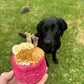 Bee pollen for dogs 
