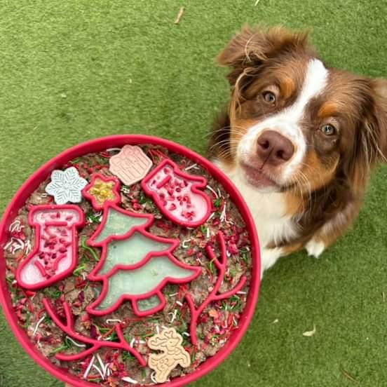 Christmas slow feeder bowl for dogs 