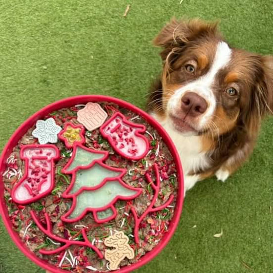 Christmas slow feeder bowl for dogs 