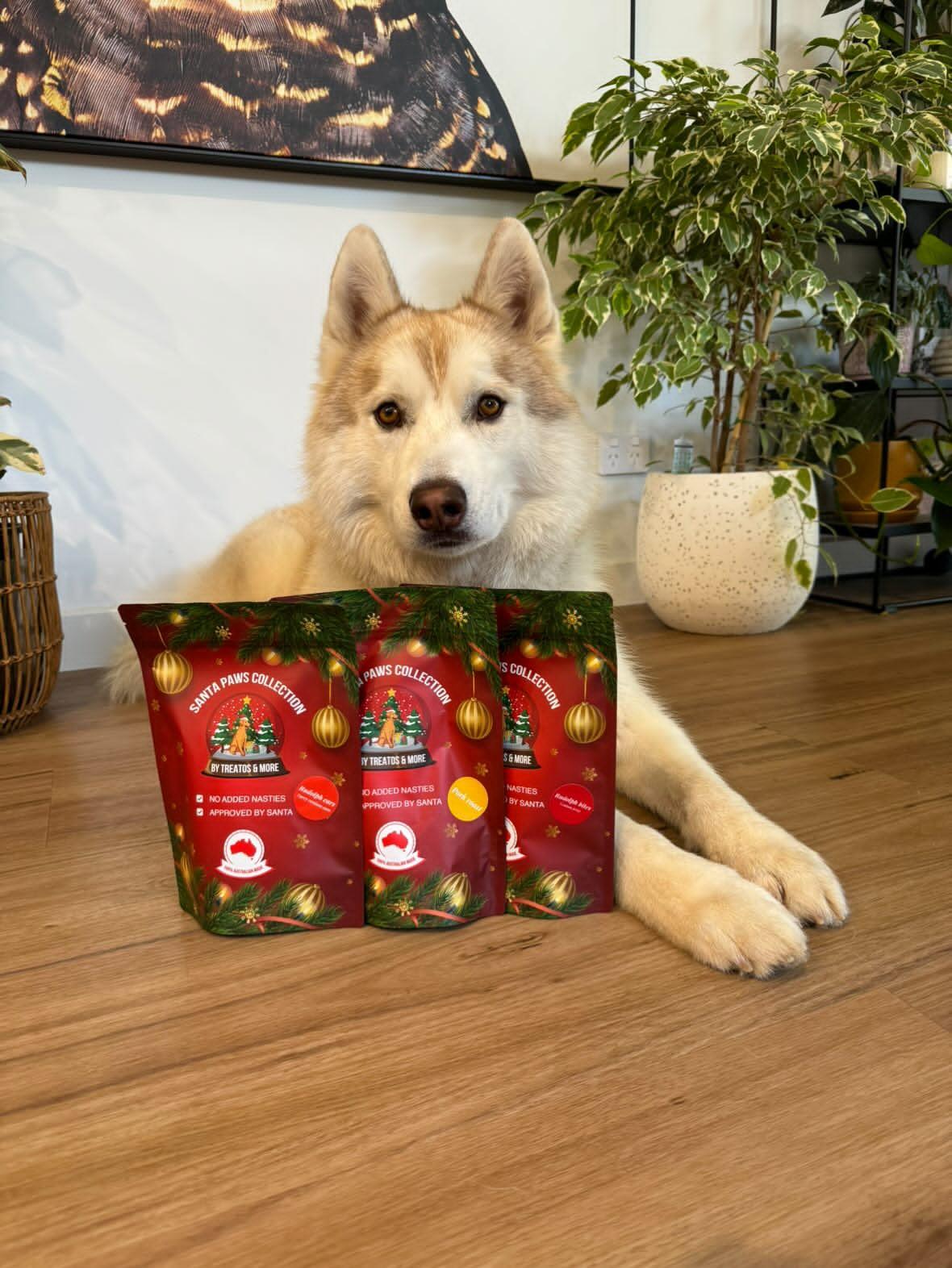 Santa Paws Collection - Rudolph Bites - Christmas dog treats