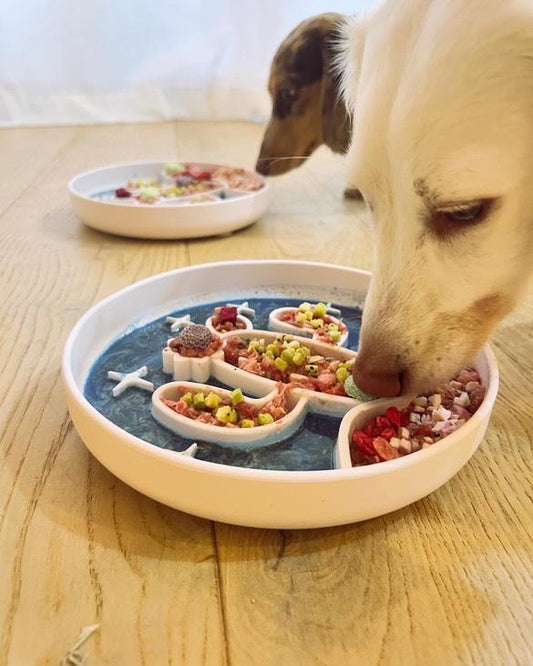 Cactus silicone slow feeder bowl