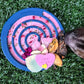 Freezbone - Freezswirl enrichment feeder