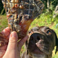 Kangaroo tendon dog treats 