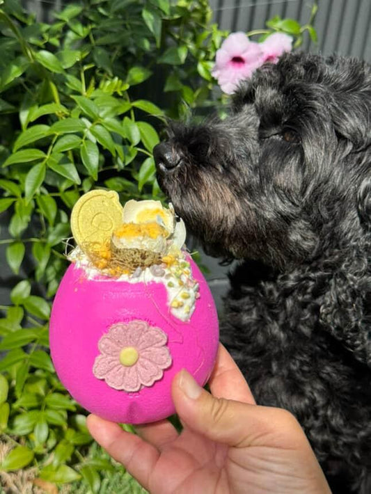 West Paw rumbl treat dispenser pink