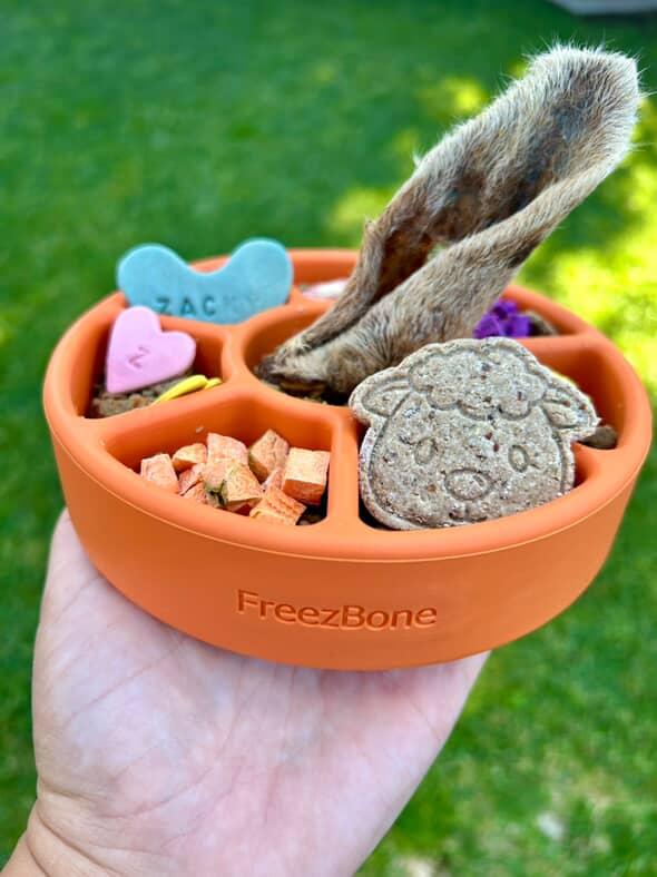 Freezbone freezwheel enrichment bowl