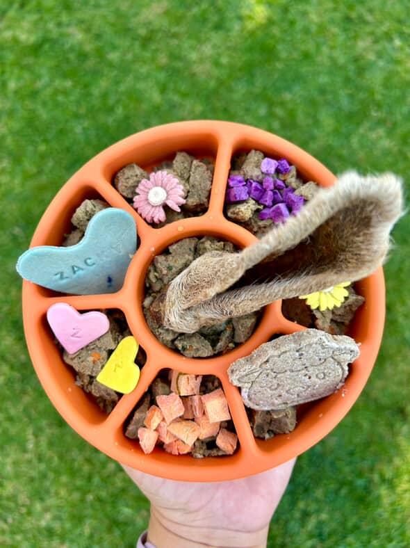 Freezbone freezwheel enrichment bowl