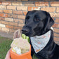 Freezbone Freezcup enrichment bowl