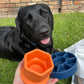 Freezbone - Freezcup enrichment feeder