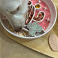 Cactus silicone slow feeder bowl