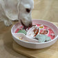 Cactus slow feeder bowl 
