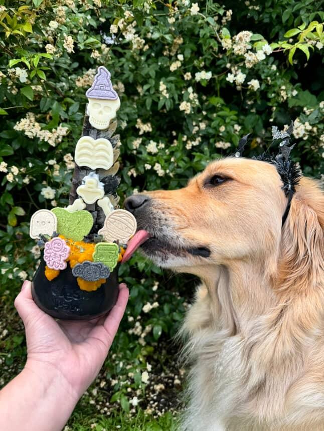 West paw Toppl limited edition black