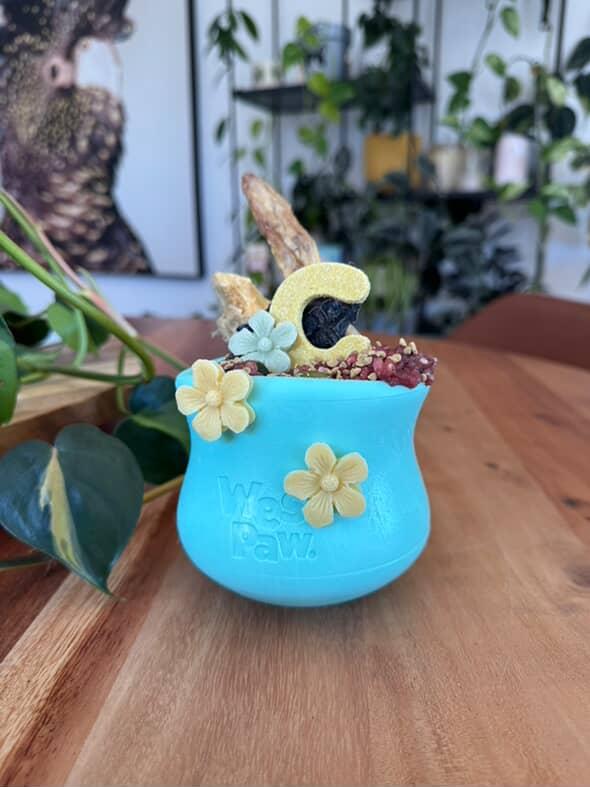 West paw Toppl limited edition mint