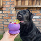 Freezbone Freezball slow feeder bowl 