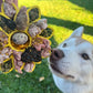 Freezbone freezflower enrichment bowl for dogs 