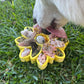 Freezbone freezflower enrichment bowl for dogs 