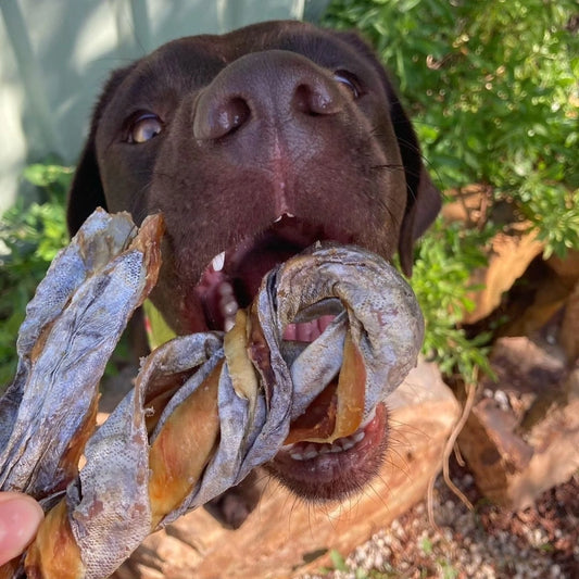 Mackerel Twists dog treats