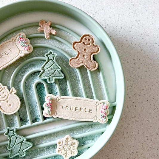 Aurora Slow Feeder Bowl