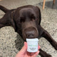 Simply Seaweed dental supplement for dogs