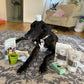 Simply seaweed dental supplements for dogs