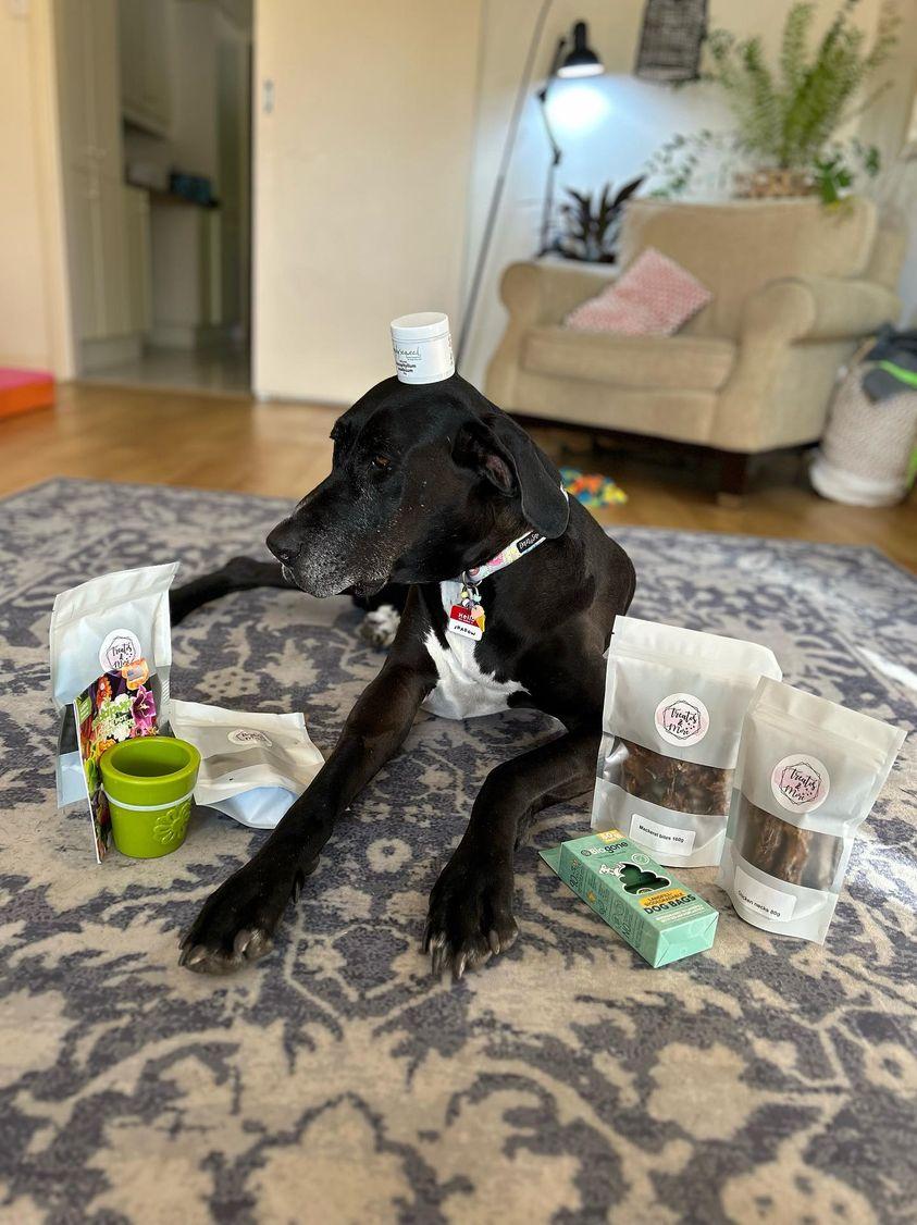 Simply seaweed dental supplements for dogs